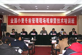 技術推廣服務中心 驅動創(chuàng)新與發(fā)展的關鍵橋梁