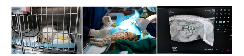 微信截圖_20250908153755.png 微信截圖_20250908153755.png